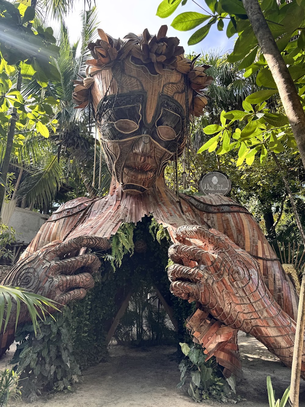 Ven a la Luz