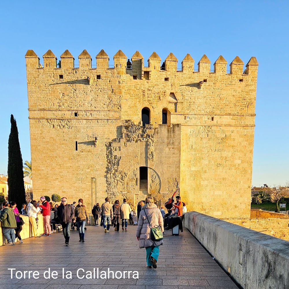 Torre de la Calahorra photo 3