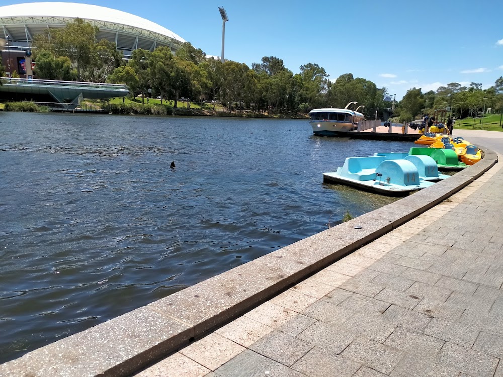 Torrens River photo 3