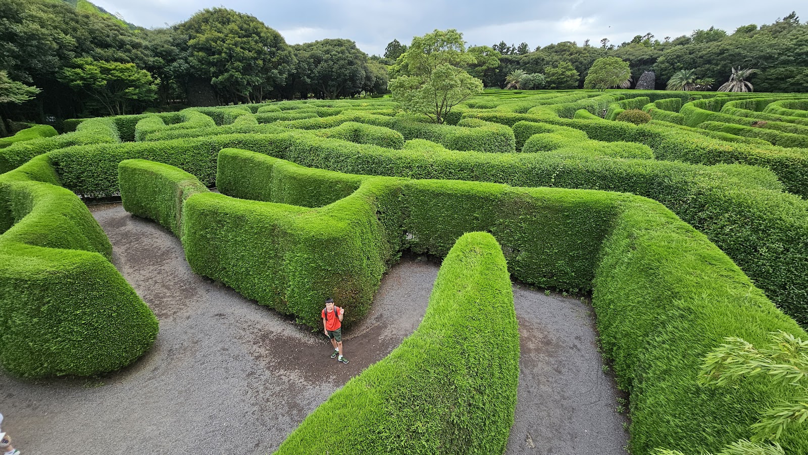 Jeju Maze Land
