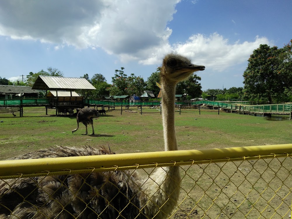 Davao Zorb Park photo 3