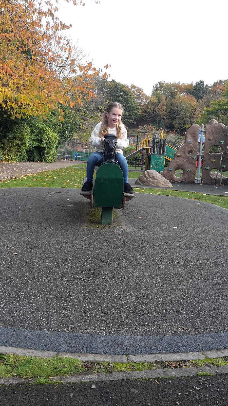 Bellfield Park