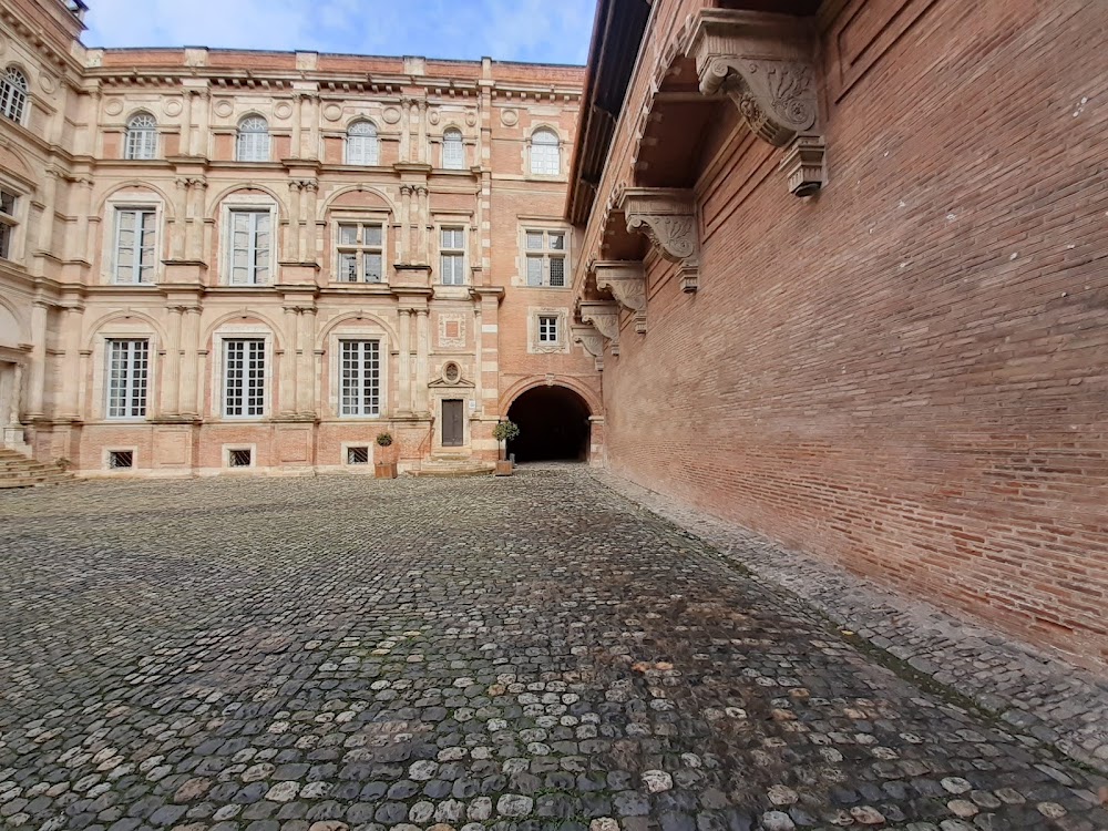 Hôtel d'Assézat photo 3