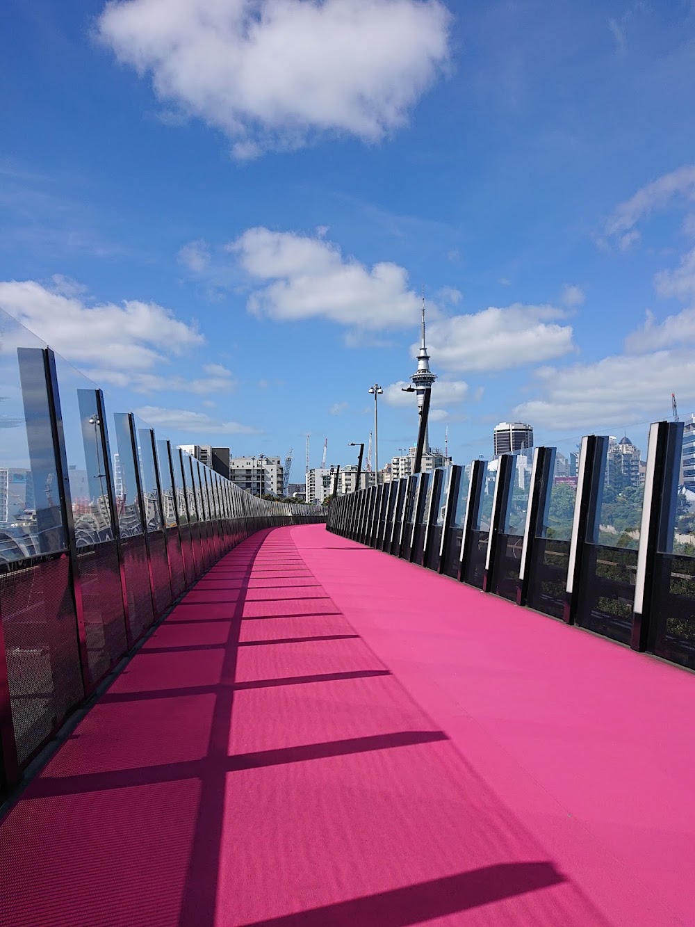 Te Ara I Whiti - The Lightpath