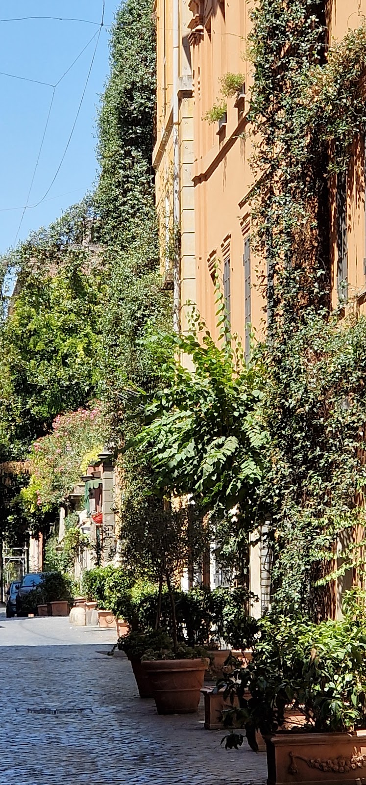 Via Margutta photo 2