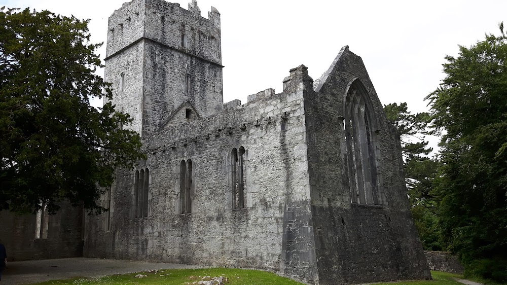 Muckross Abbey photo 2