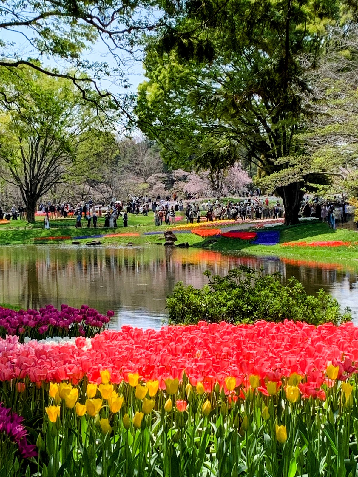 Showa Kinen Park photo 2