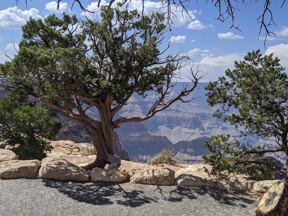 Hopi Point photo 2