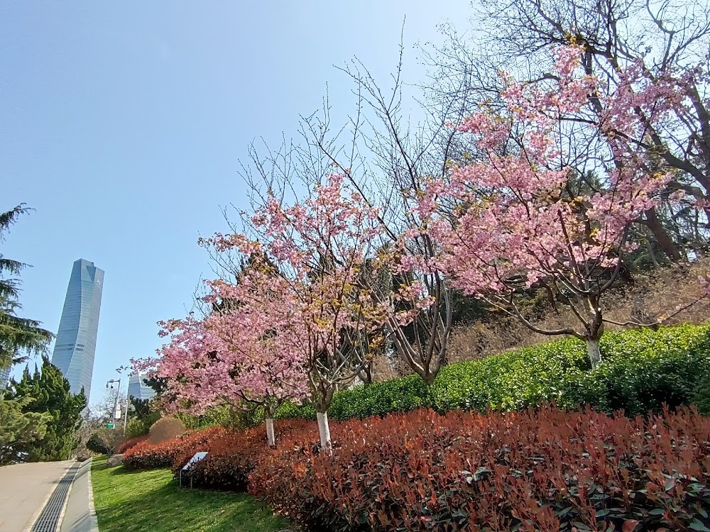Qingdao Zhongshan Park