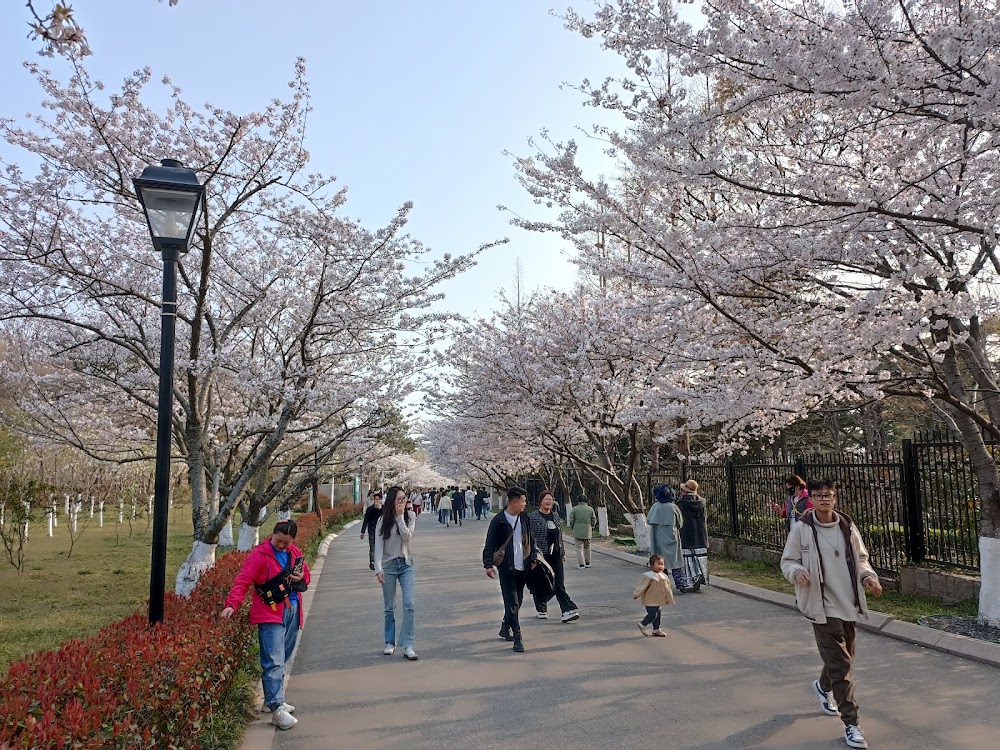 Qingdao Zhongshan Park photo 2