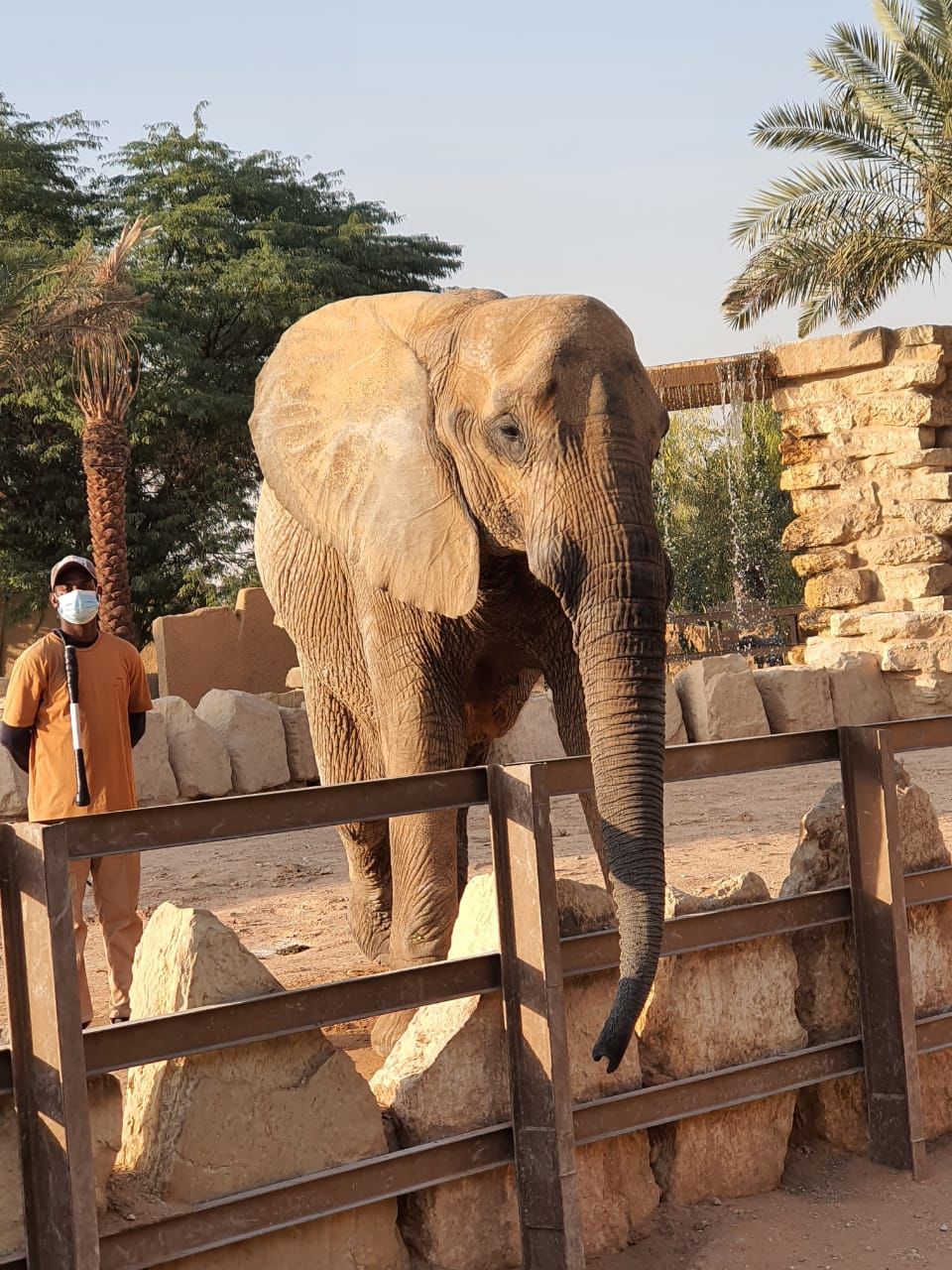 Riyadh Zoo