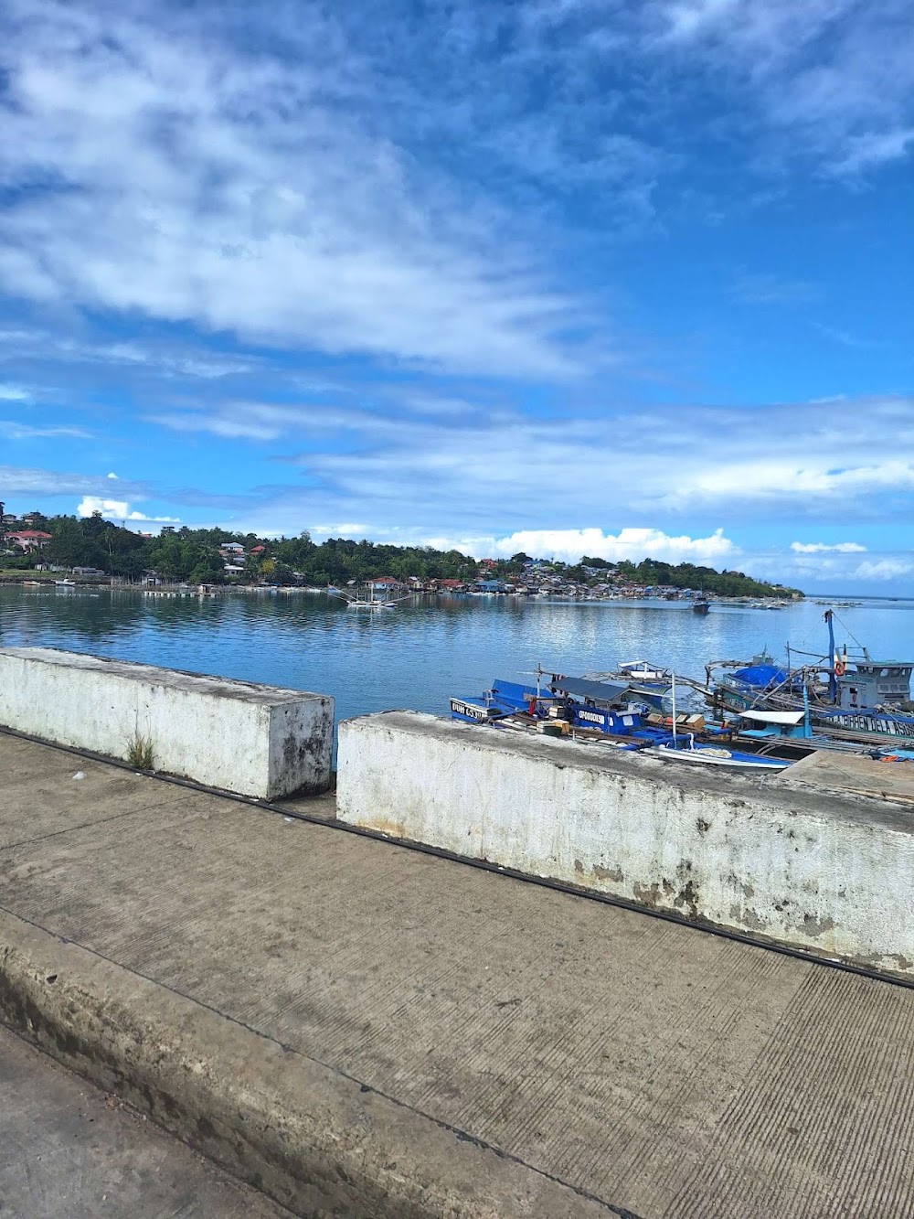 Panglao Island photo 3