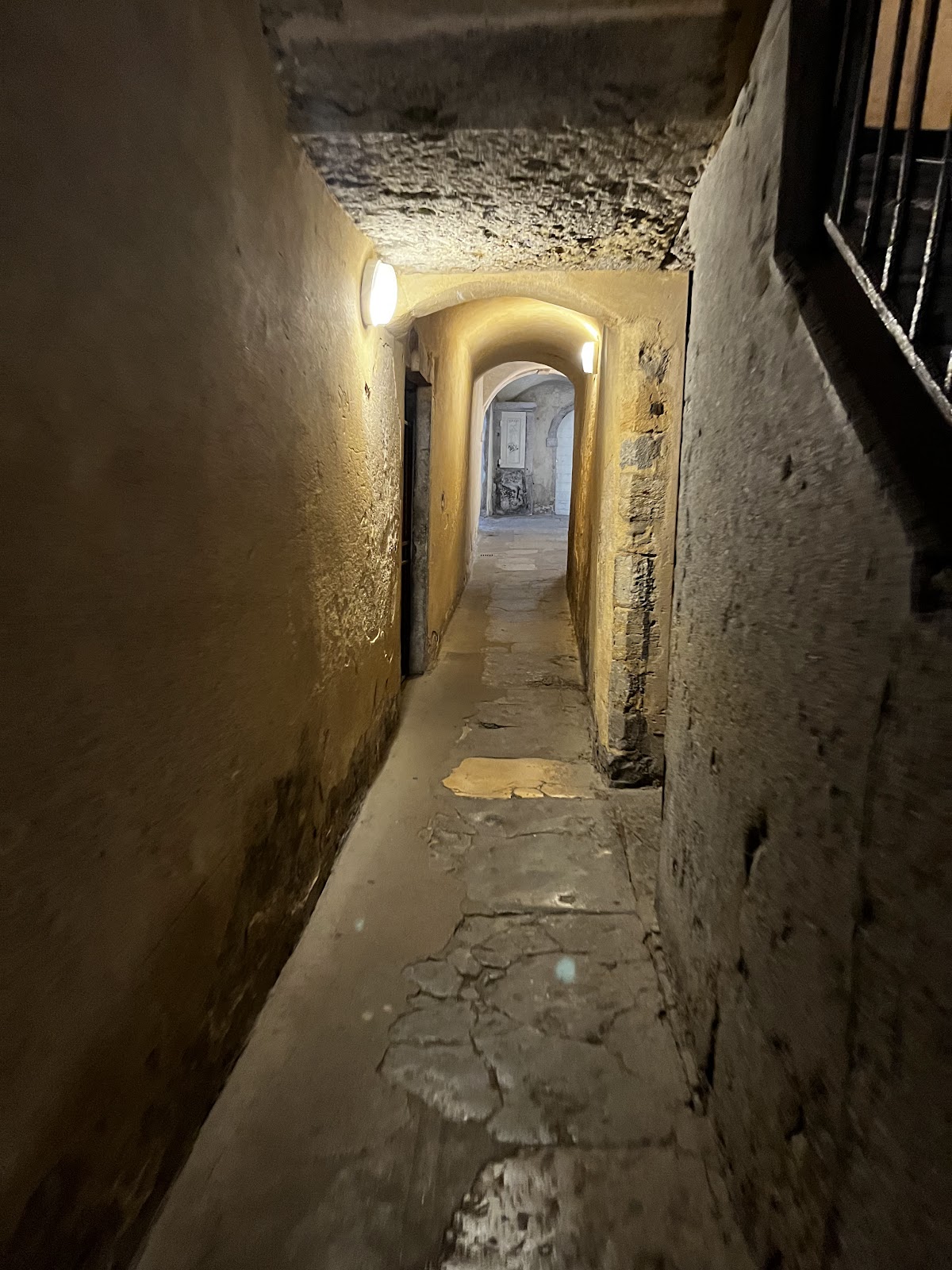 Traboules (hidden passageways)