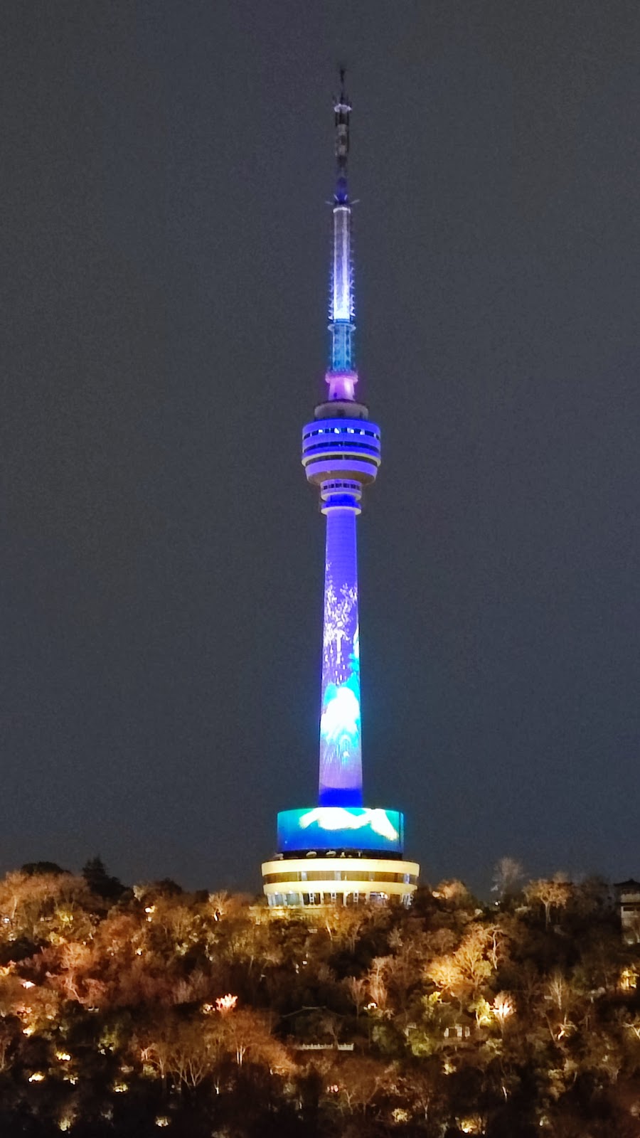 Tortoise Mountain TV Tower photo 3