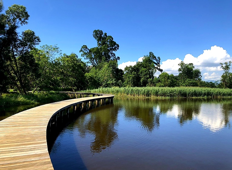 Wetland Park