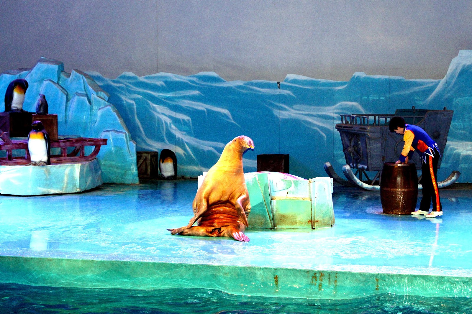Dalian Sun Asia Ocean World