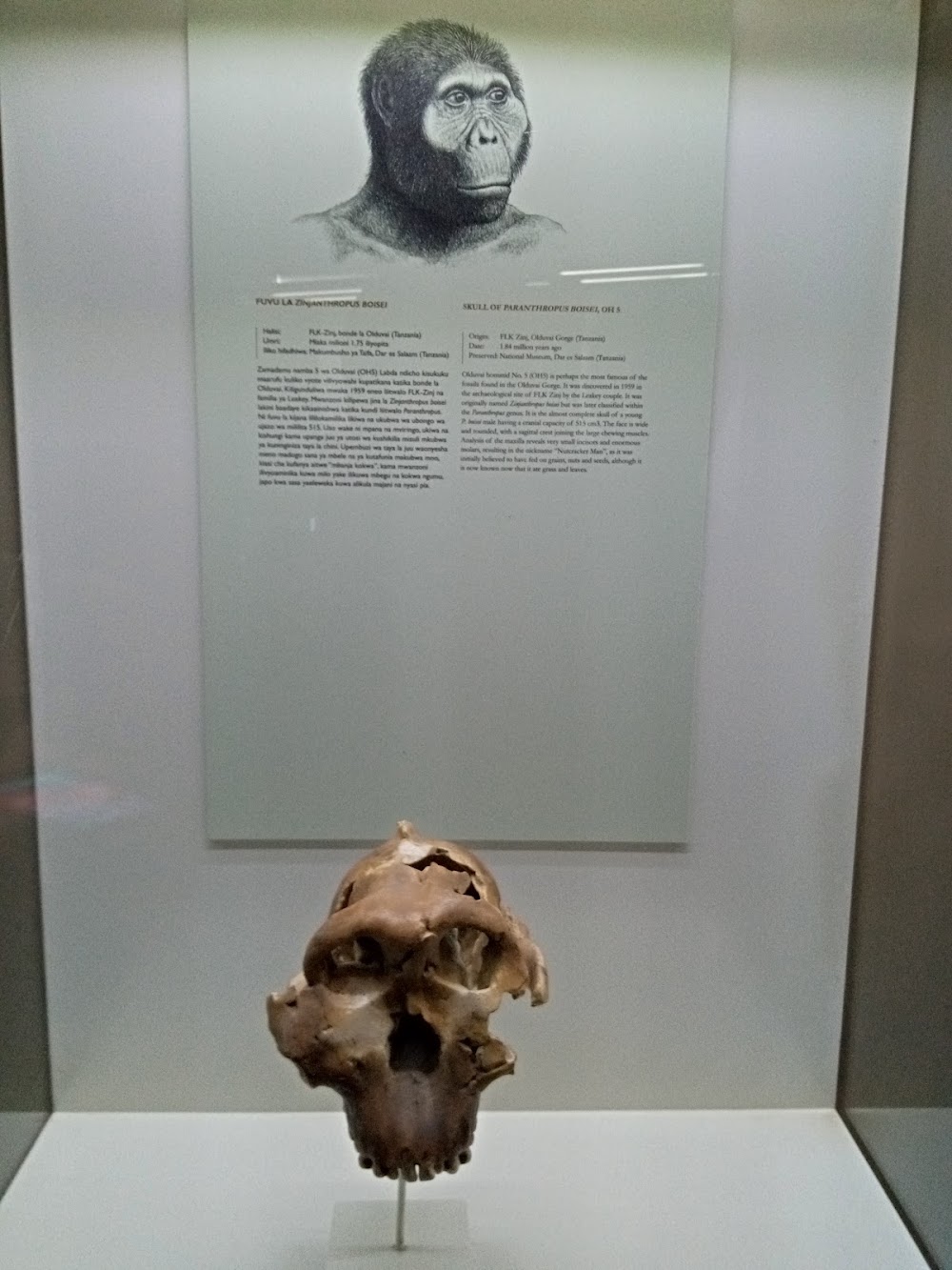 Olduvai Gorge photo 2