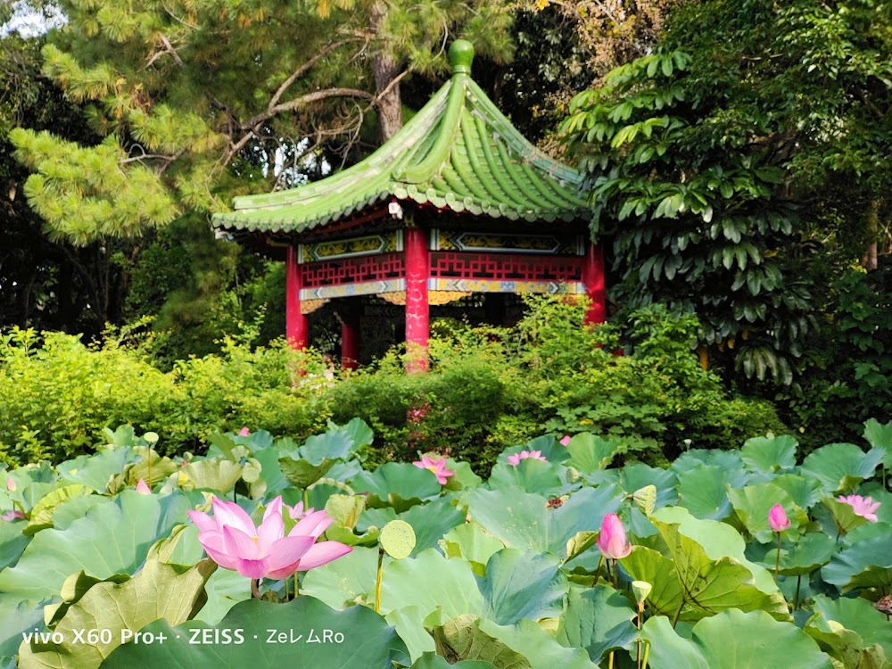 Taipei Botanical Garden