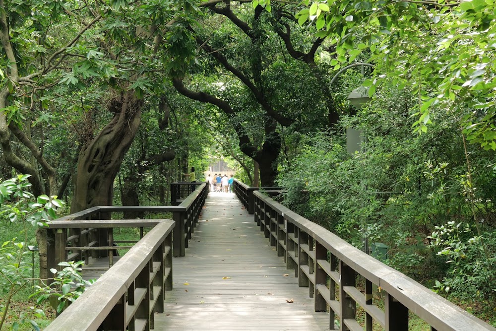 Taipei Botanical Garden photo 3