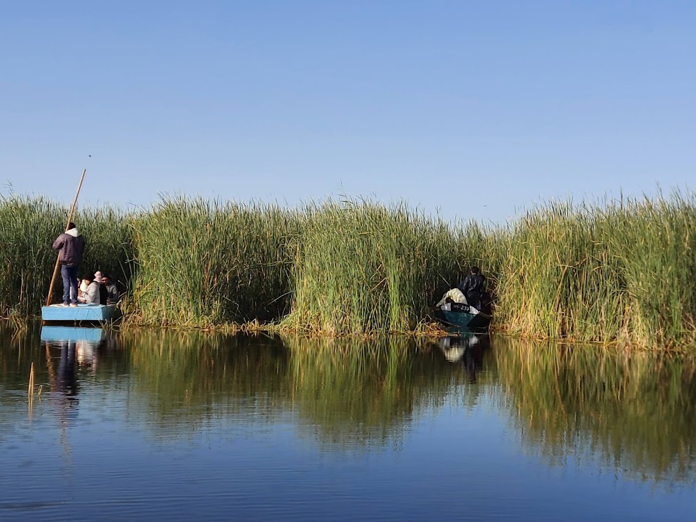 Nal Sarovar Bird Sanctuary photo 3