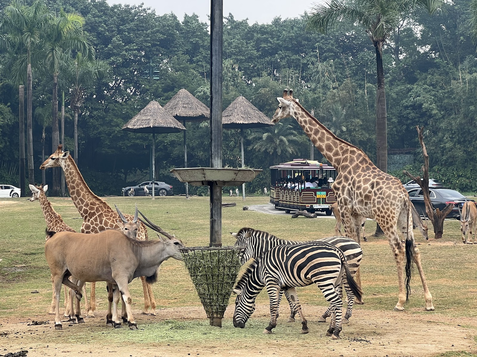 Cangzhou Wildlife Park