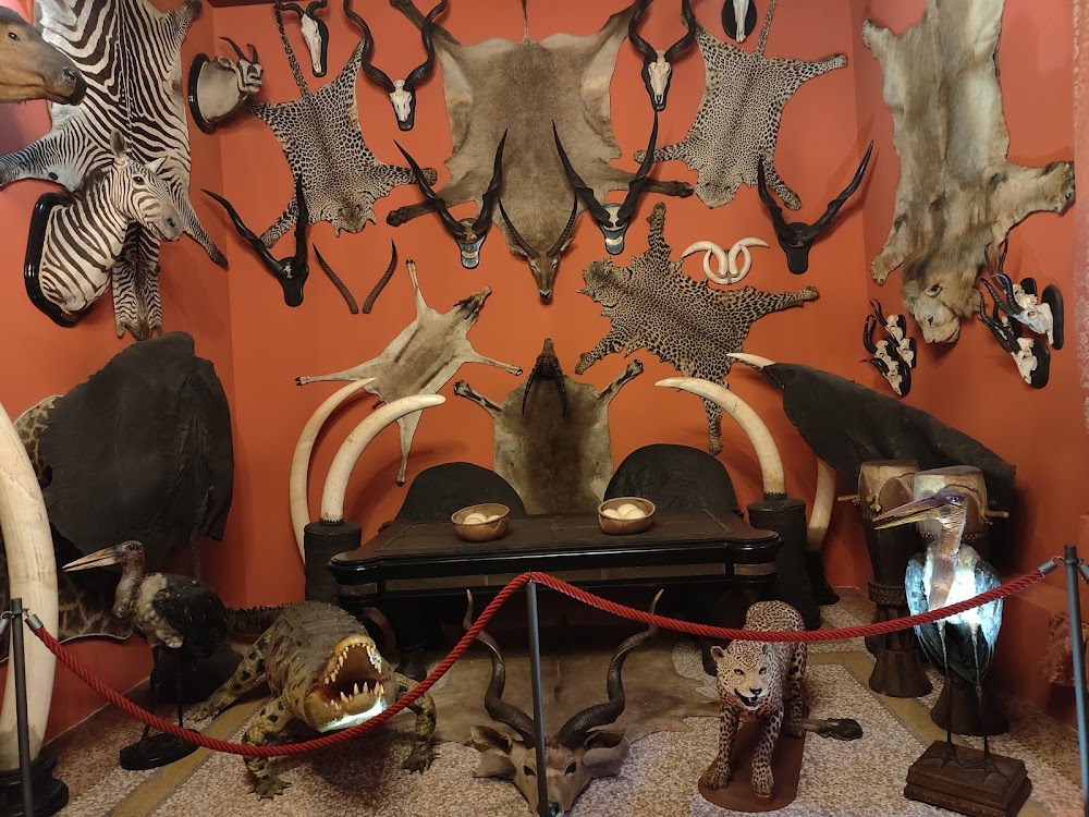 Museo di Storia Naturale photo 3
