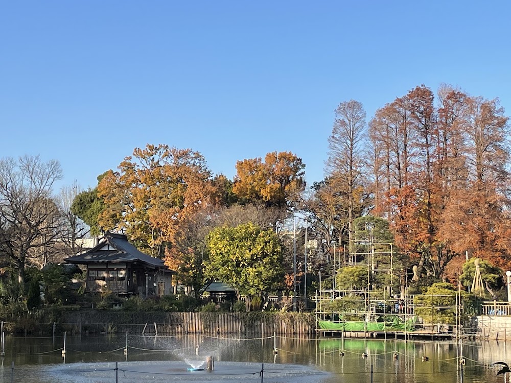 Himonya Park photo 2