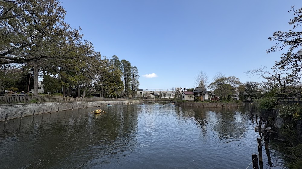 Himonya Park photo 3