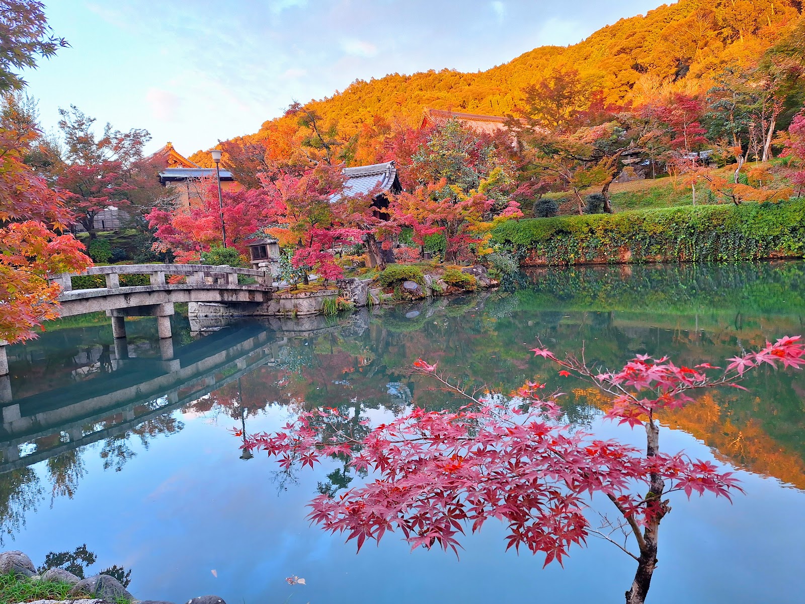 Eikando Zenrin-ji Temple