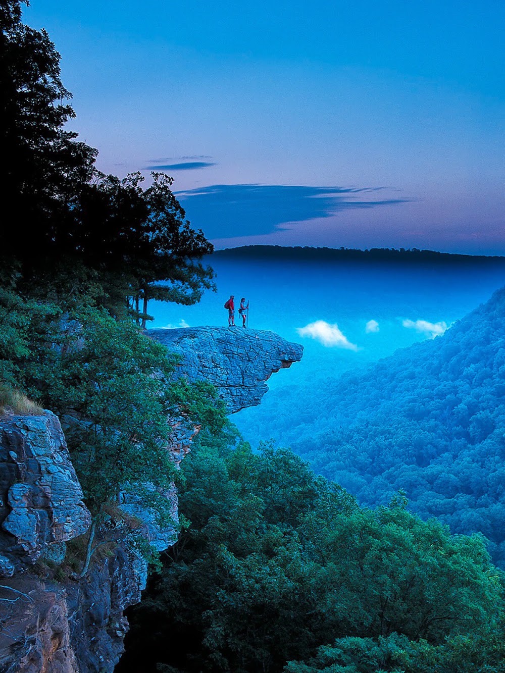 Ozark National Forest photo 3