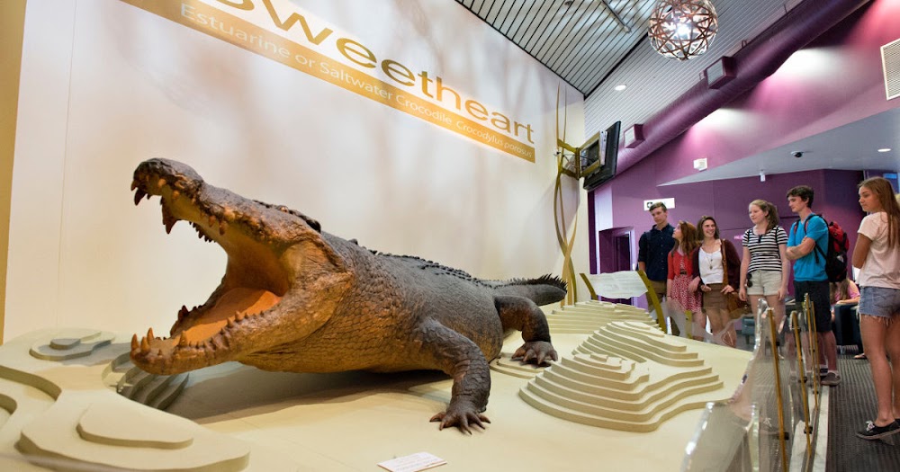 Museum and Art Gallery of the Northern Territory photo 2