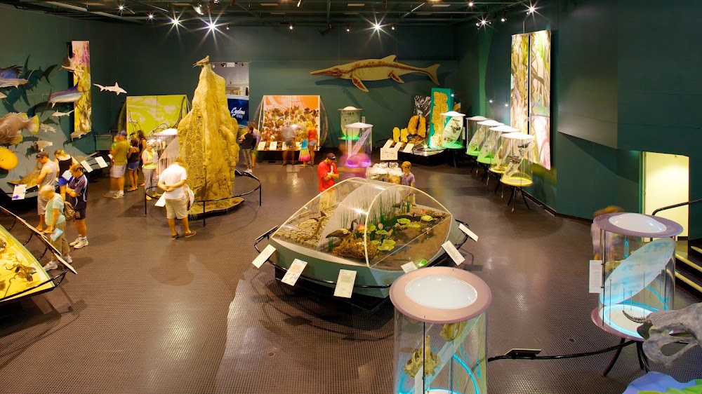 Museum and Art Gallery of the Northern Territory photo 3