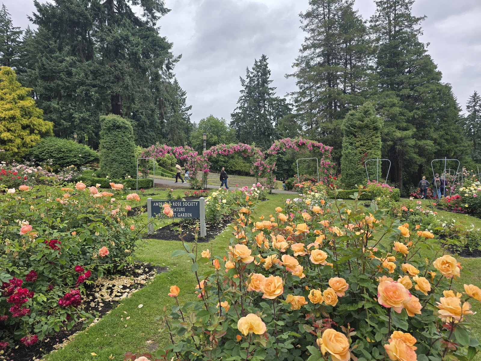 International Rose Test Garden photo 2
