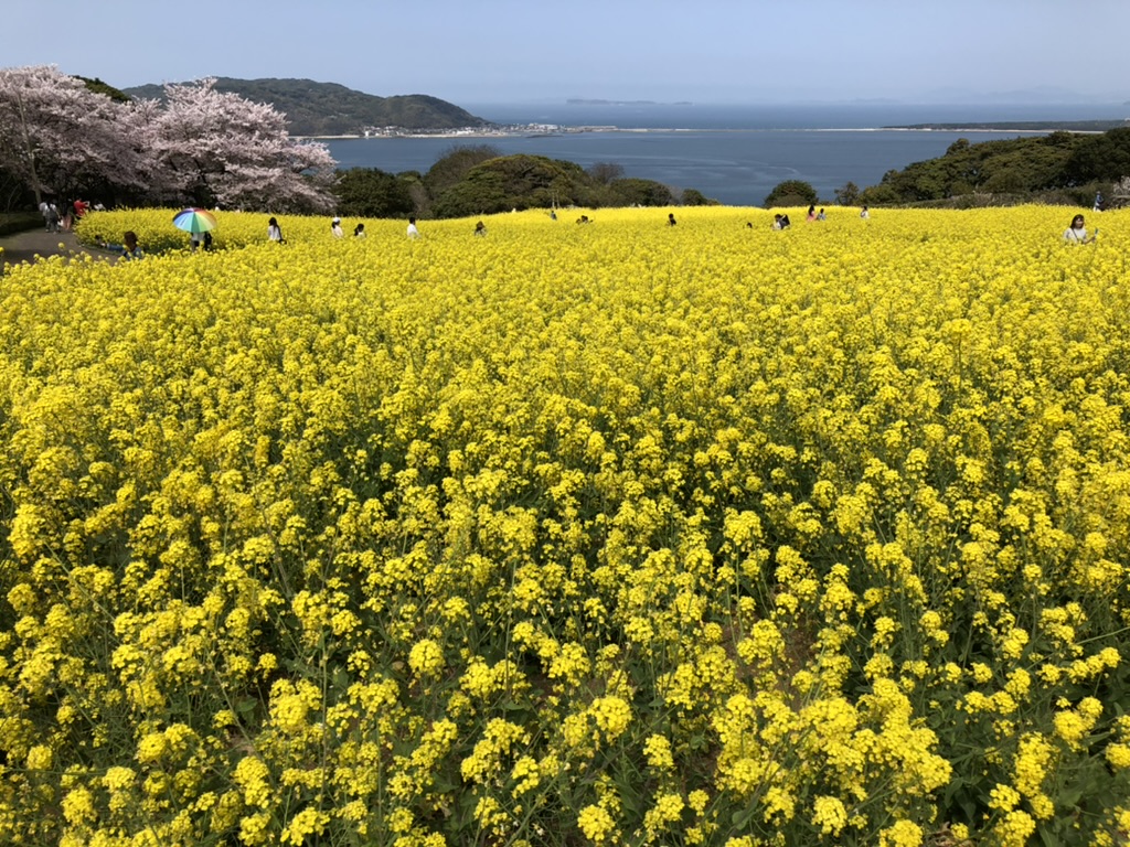Nokonoshima Island