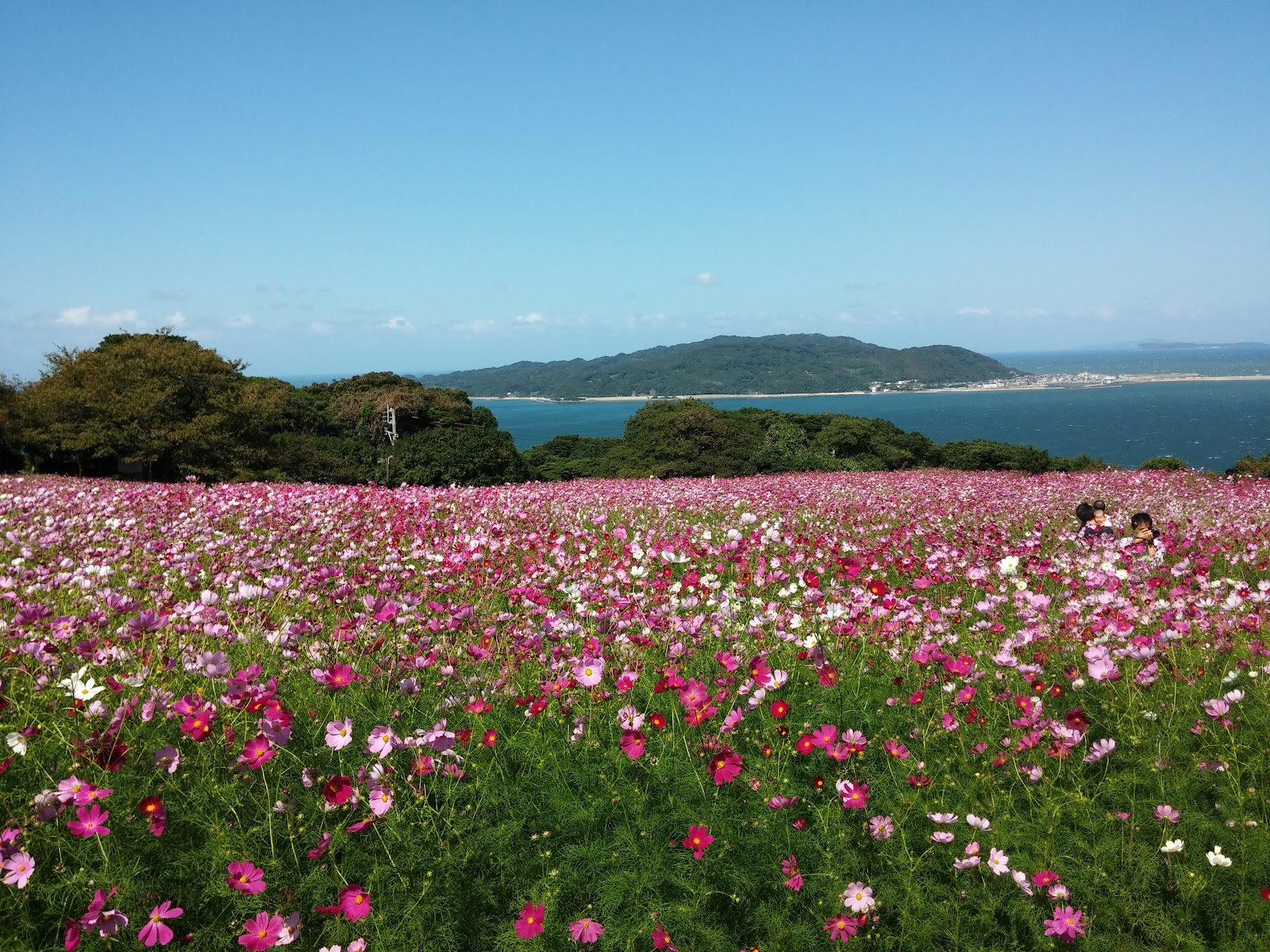 Nokonoshima Island photo 2