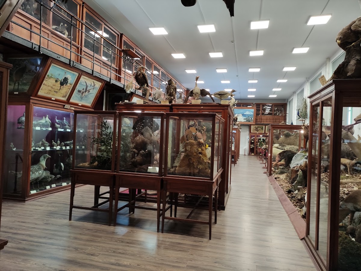 Museum of Zoology