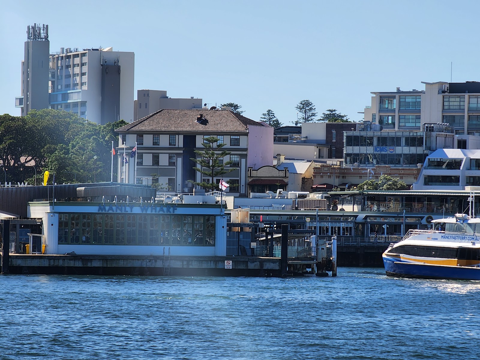 Manly Ferry