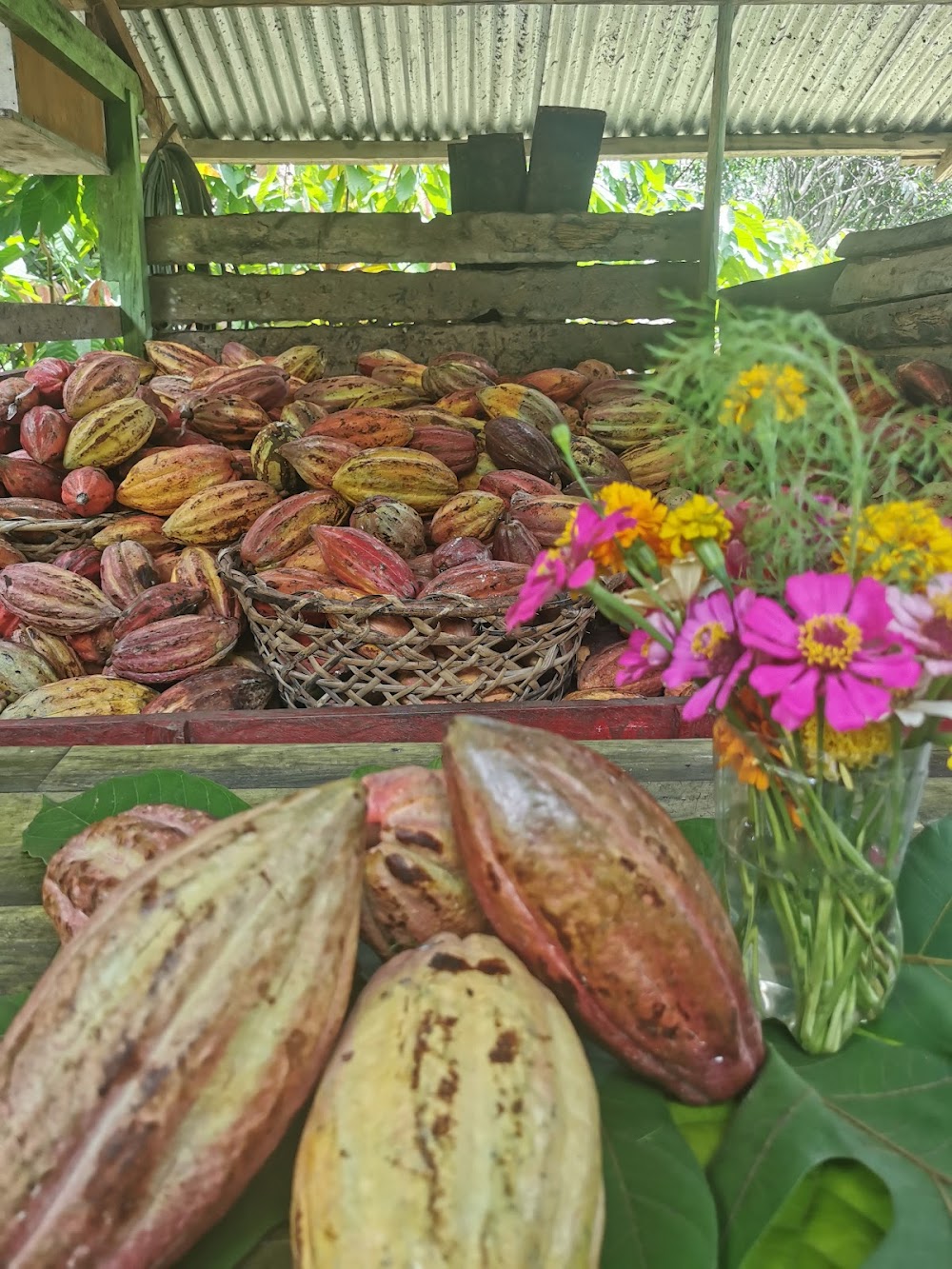 Gran Verde Farm
