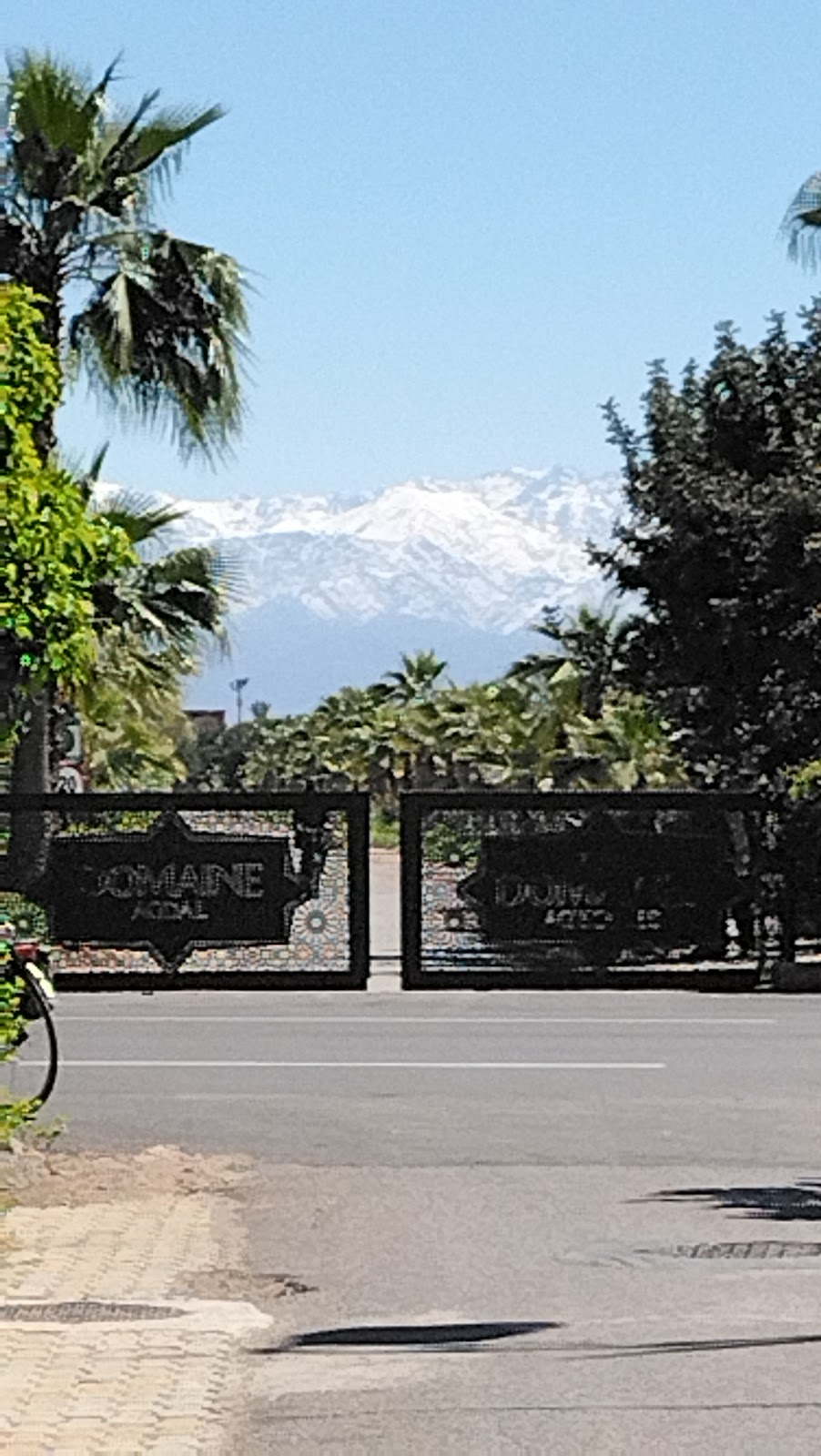 Agdal Gardens photo 3