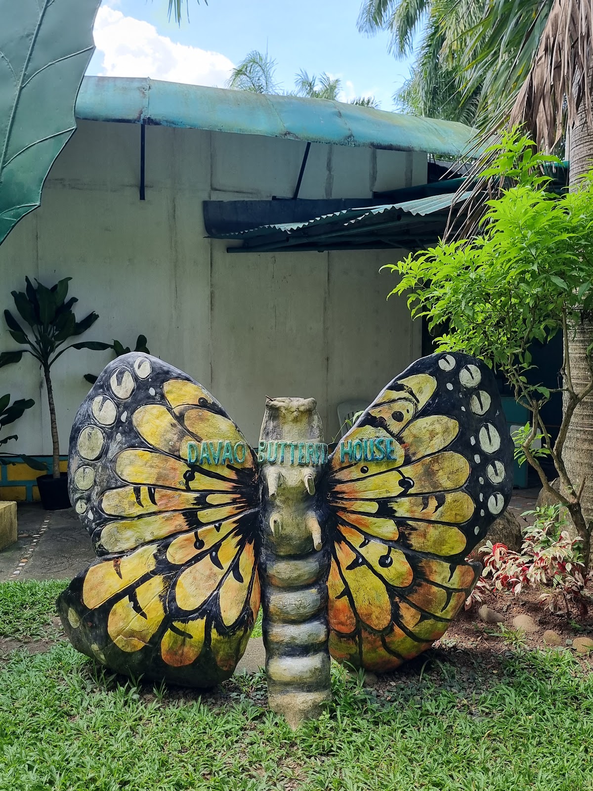 Davao Butterfly House
