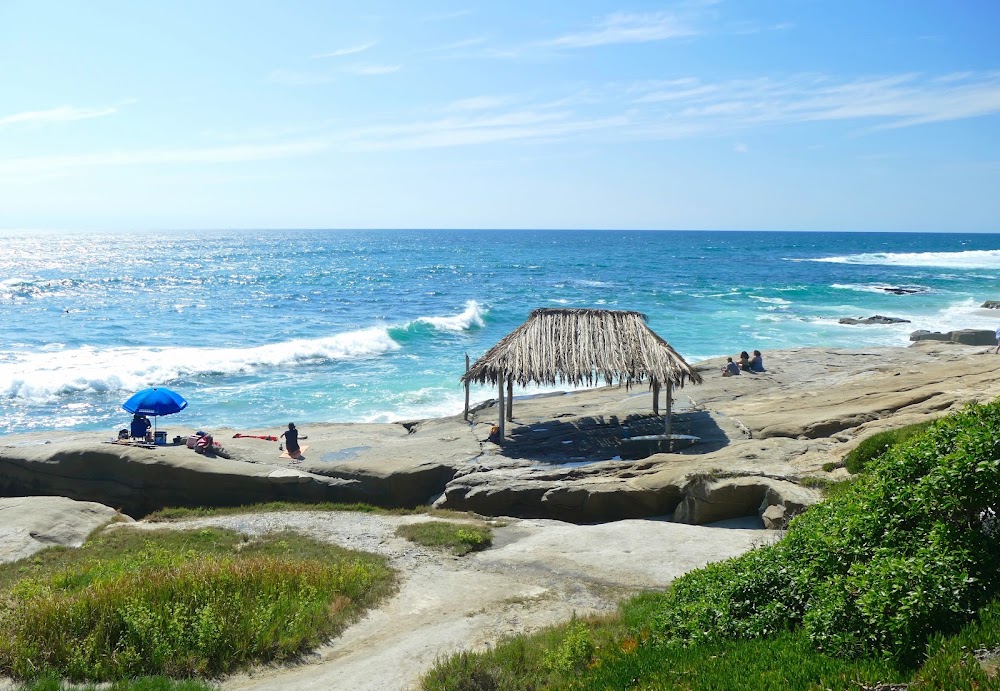Windansea Beach photo 2