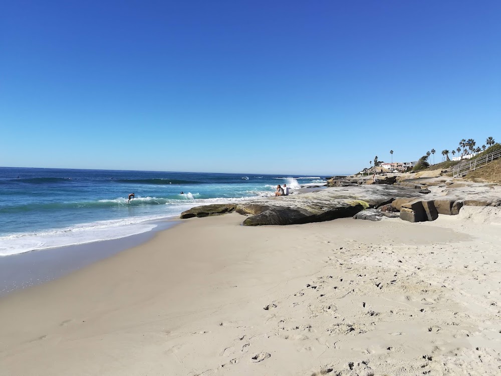 Windansea Beach photo 3