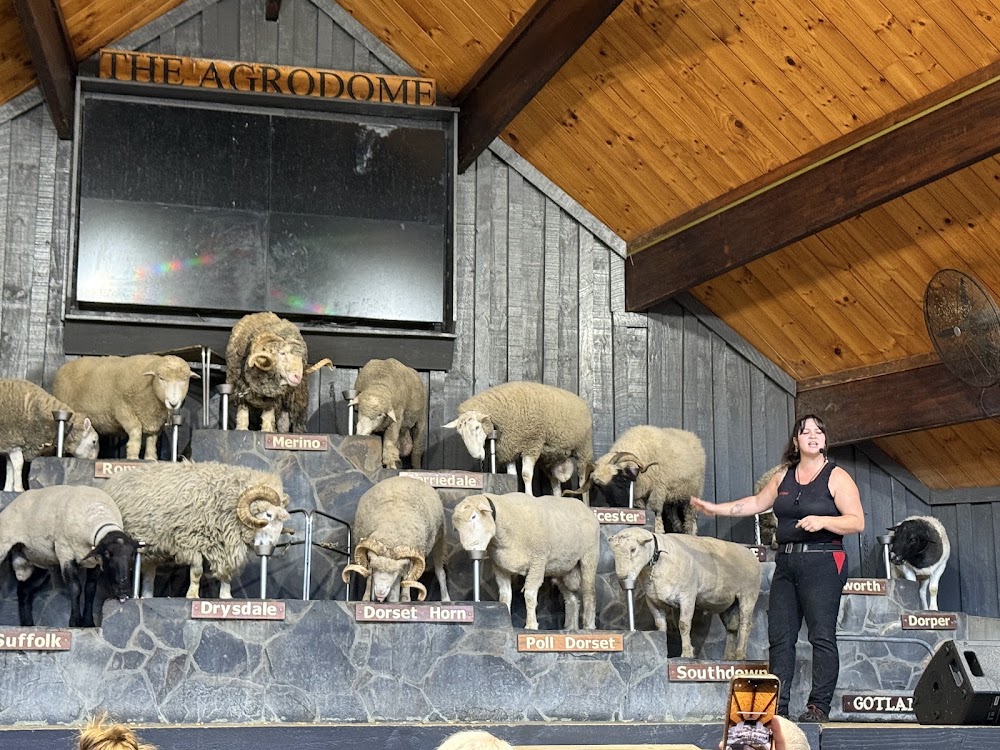 Agrodome photo 2