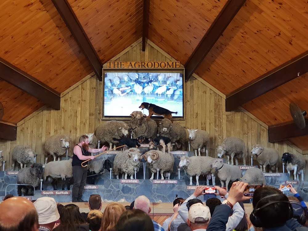 Agrodome photo 3