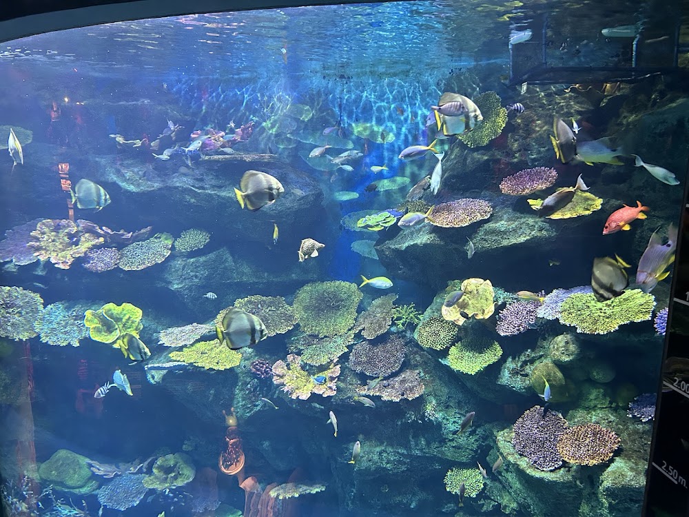 SEA LIFE Bangkok Ocean World photo 2