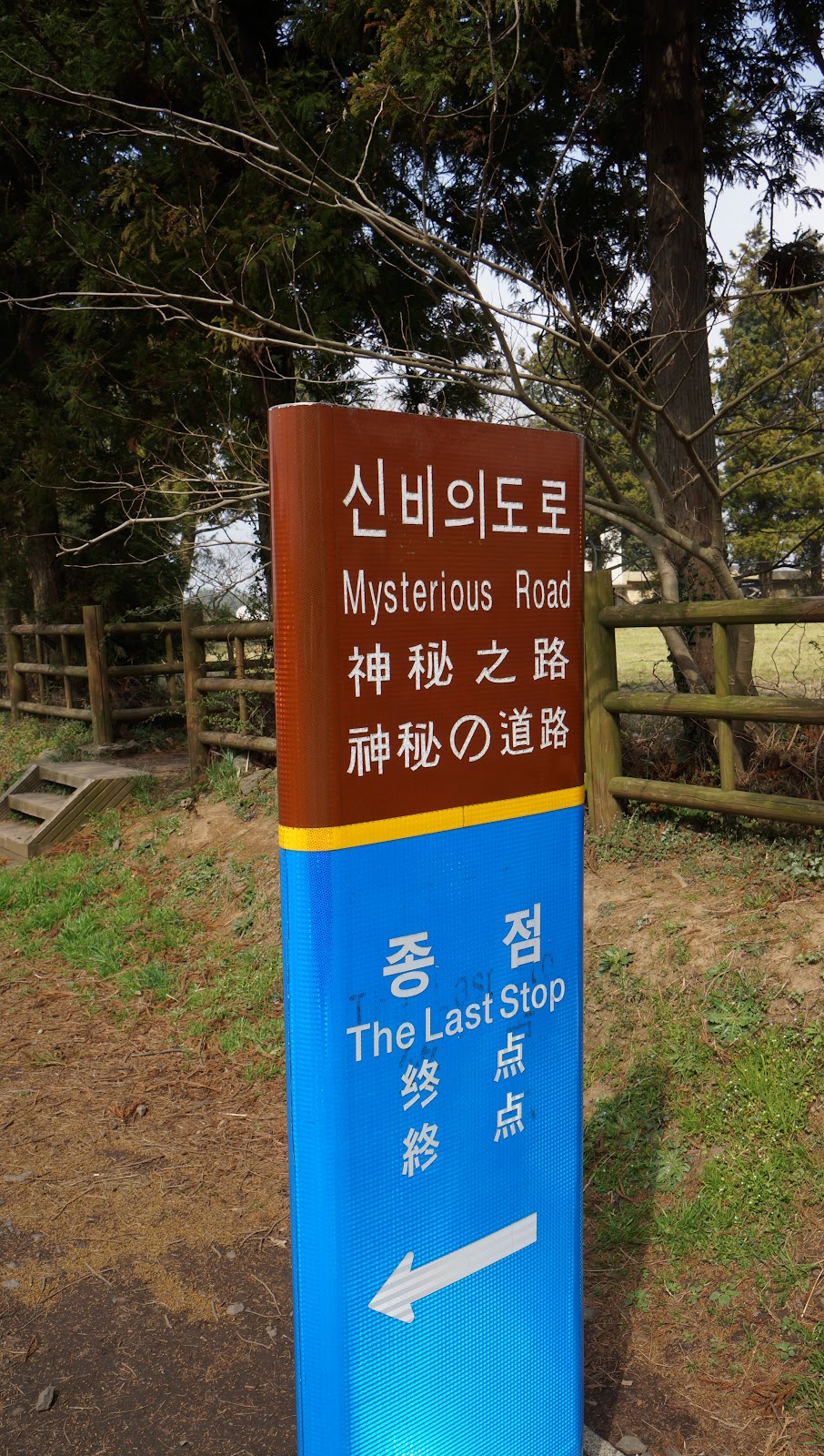 Jeju Mysterious Road