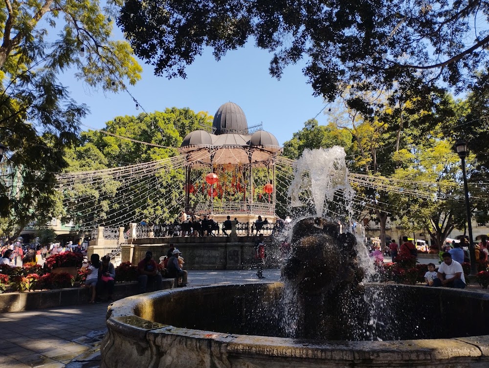 El Zócalo de Oaxaca photo 3