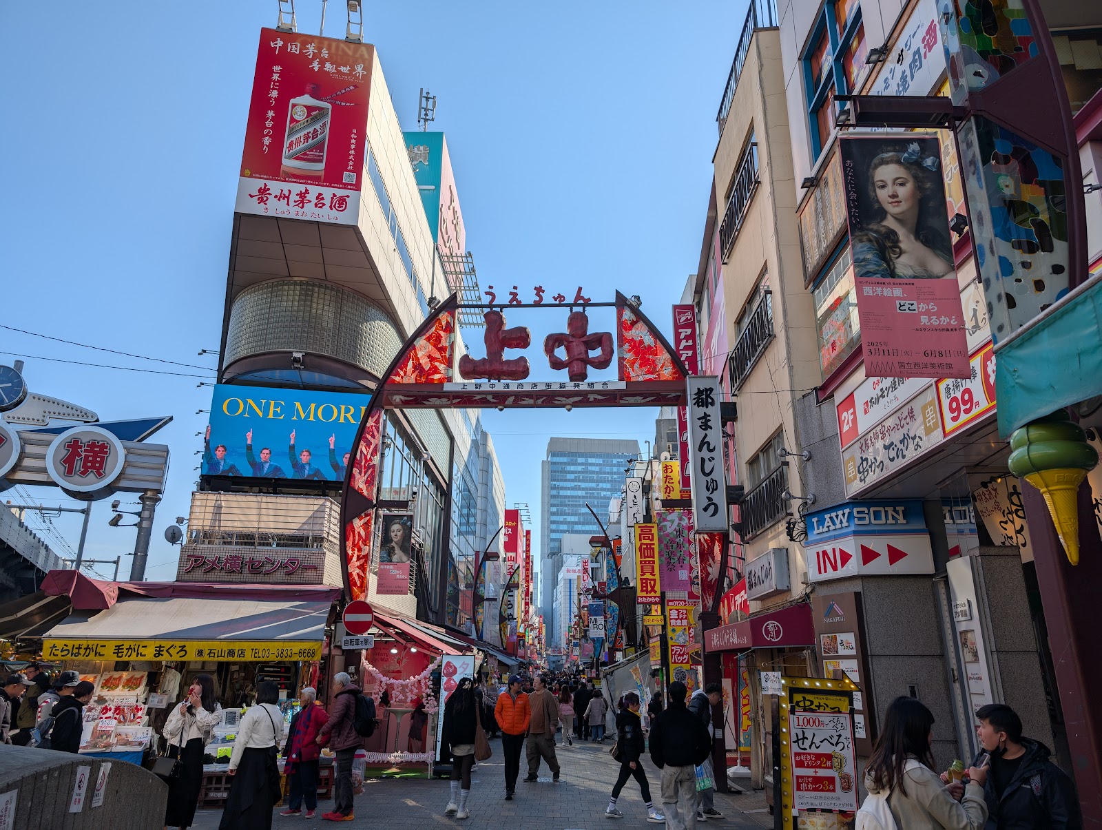 Ameya-Yokocho Market