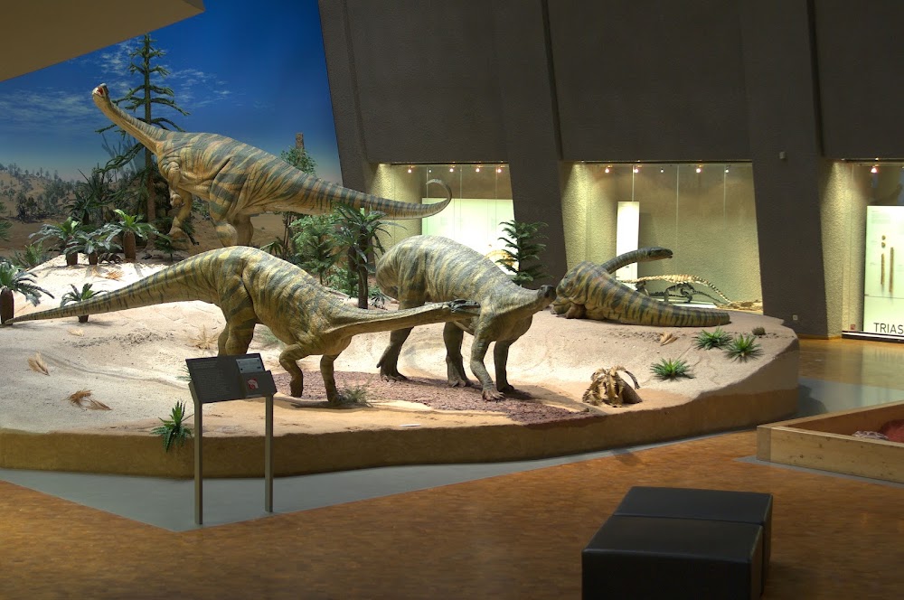 Naturkunde Museum Stuttgart