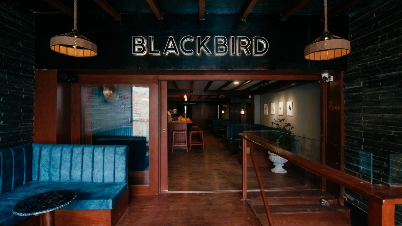 Blackbird